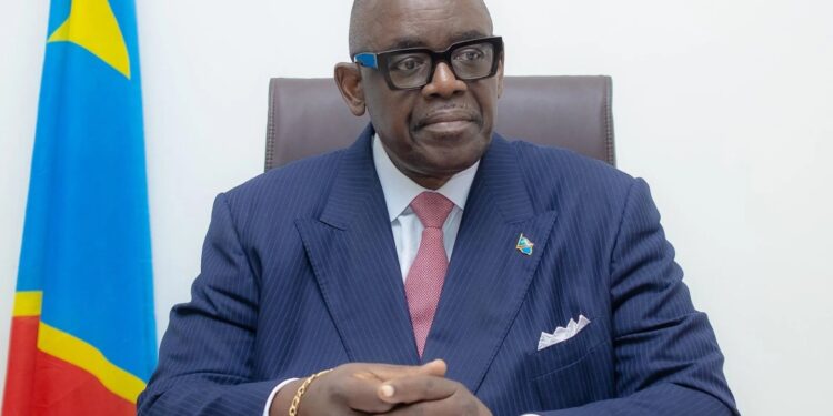 DR Congo names veteran executive Watum as mines minister in reshuffle