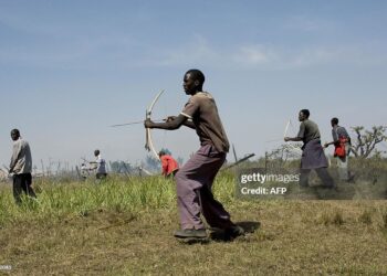 Kalenjin people of East Africa