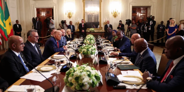 Trump’s US-Africa Summit: A New Trade Deal or Diplomatic Maneuver?