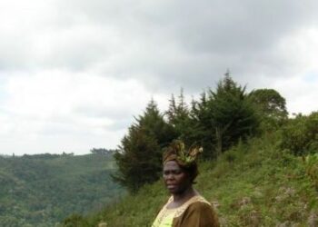 Wangari Maathai (1940-2011): Kenyan social, environmental, and political activist