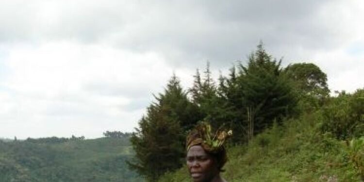 Wangari Maathai (1940-2011): Kenyan social, environmental, and political activist