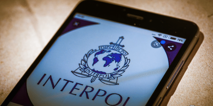 Over 1,200 cybercriminals netted in major Interpol swoop