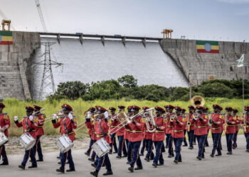 Strengthening ties: African leaders eye power imports from Ethiopia