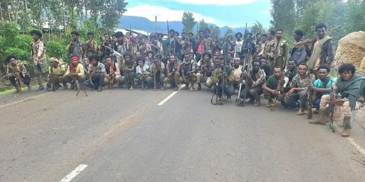 Ethiopia rebels inflict ”heavy casualties’ on federal forces