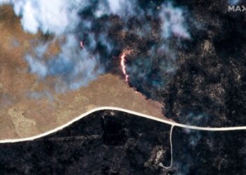 Namibia projects tourism decline after wildfire in game reserve