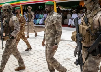 Five Years After the Coup in Mali: Are Stability and Growth Within Reach?