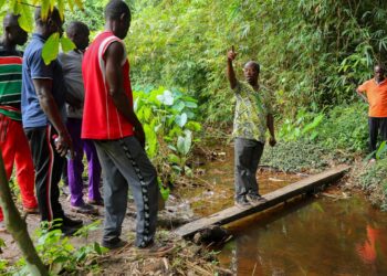 Community efforts against illegal mining in Ghana
