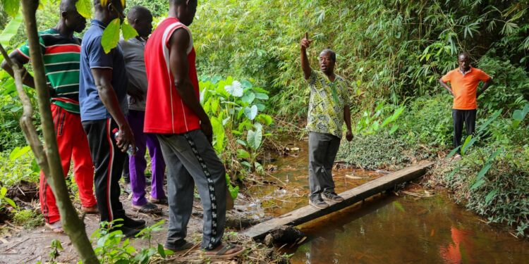 Community efforts against illegal mining in Ghana