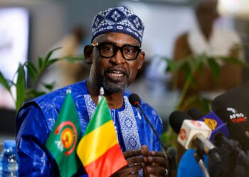 Terrorist takeover of Mali is far-fetched, foreign minister says