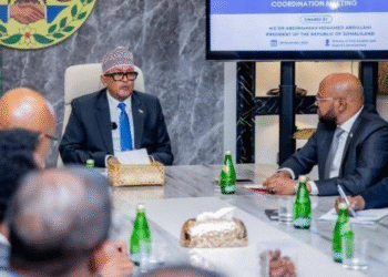 Somaliland rejects visas issued by Somalia and tightens control over its airpsace