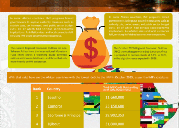 Infographic: Top 10 IMF Least Indebted African Nations in October 2025