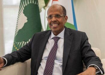 African Union calls for urgent action in insurgency-hit Mali