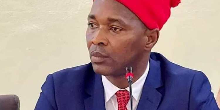 Guinea-Bissau: Nigeria offers protection to opposition candidate Dias; Election commission says cannot conclude presidential election process