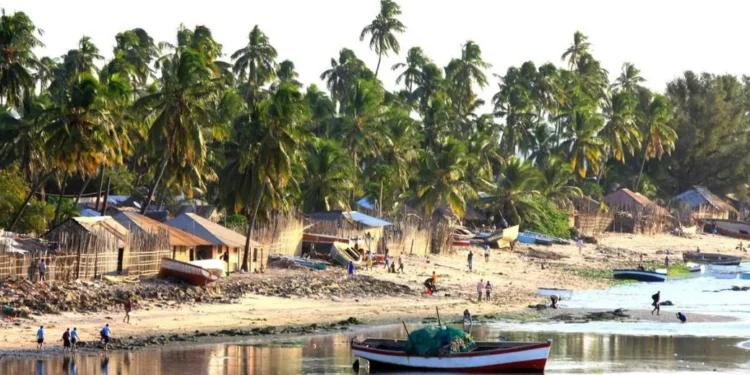 UN sounds alarm as violence in northern Mozambique forces over 100,000 to flee