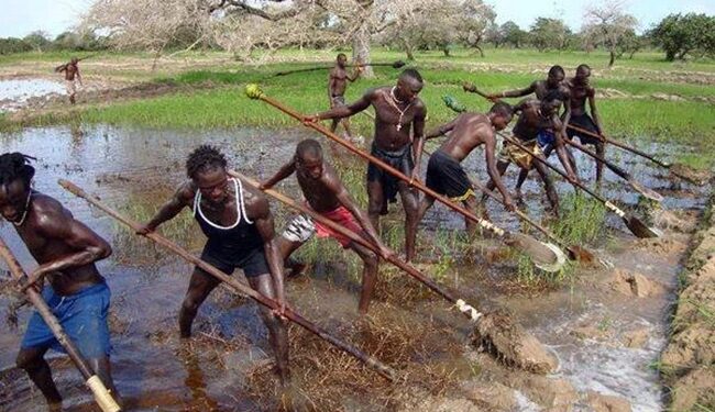 The Balanta of Guinea-Bissau, Senegal and The Gambia