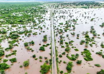 More than 640,000 people affected by catastrophic Mozambique floods