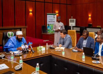 Nigeria’s Niger State to work with Islamic Development Bank on $163 million solar project