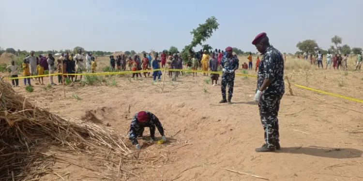 US airstrikes in northern Nigeria: potential windfalls and dangers