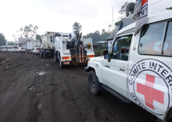 UN to deploy ceasefire monitoring mission in Congo, Qatar says