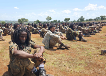 Oromo Liberation Army denies its fighters target civilians