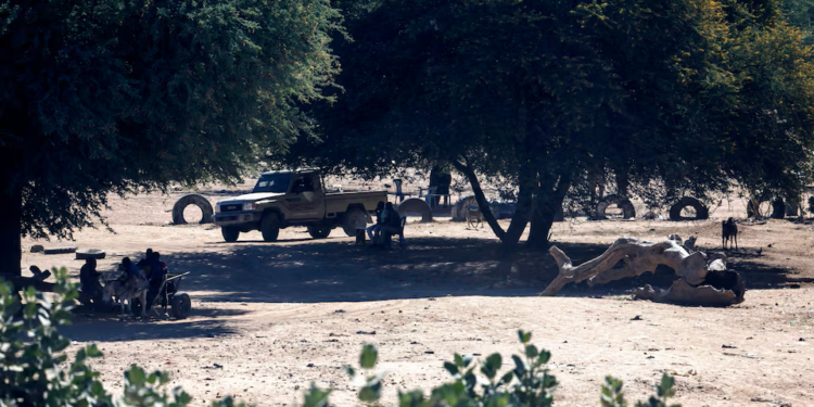 Chad closes border with Sudan after clashes kill five soldiers