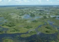 The Sudd wetland