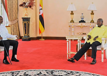 Uganda’s Museveni holds talks with Sudan’s RSF leader amid push to end war