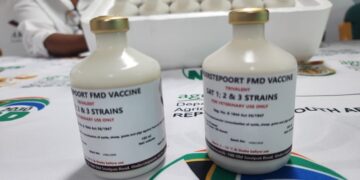 South Africa produces first local vaccine to combat foot-and-mouth disease