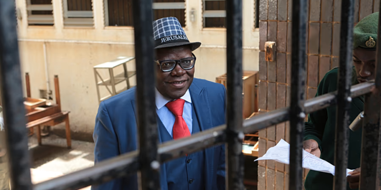 Zimbabwe opposition leader granted bail amid growing tensions over constitutional changes