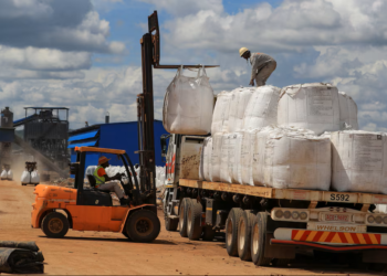 Zimbabwe to introduce lithium export quotas, sets conditions for resumption of shipments