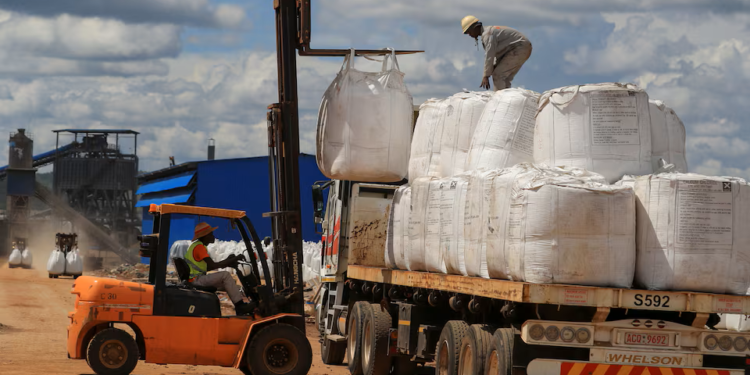 Zimbabwe to introduce lithium export quotas, sets conditions for resumption of shipments