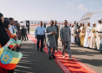 Dangote raises planned investment in Ethiopia fertiliser project to over $4 billion