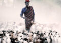 Nyangatom people of Ethiopia and South Sudan