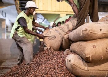 Ivory Coast will send officials to calm protests by cocoa farmers, source says