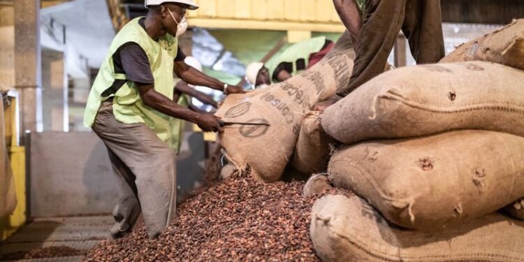 Ivory Coast will send officials to calm protests by cocoa farmers, source says