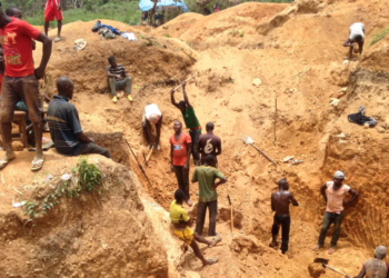 Cameroon uncovers more than 200 illegal gold mines, mostly foreign-owned