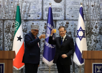 Somaliland receiving Israeli military training but not in talks for base, minister says