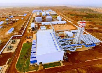 Niger inaugurates new power plant to ease electricity cuts