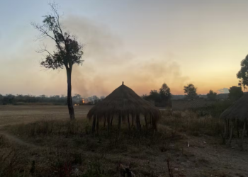 Angola’s lengthy war shaped the way farmers utilised fire—why it matters