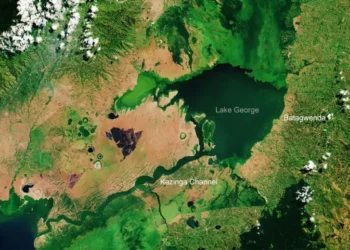 Batagwenda & Banyaruguru of Rwanda and Uganda