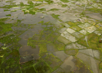 Africa facing $10-$20 billion economic hit from ‘super’ El Niño, AfDB climate chief warns