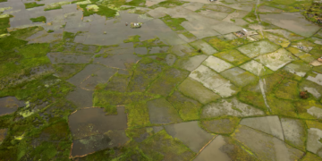 Africa facing $10-$20 billion economic hit from ‘super’ El Niño, AfDB climate chief warns