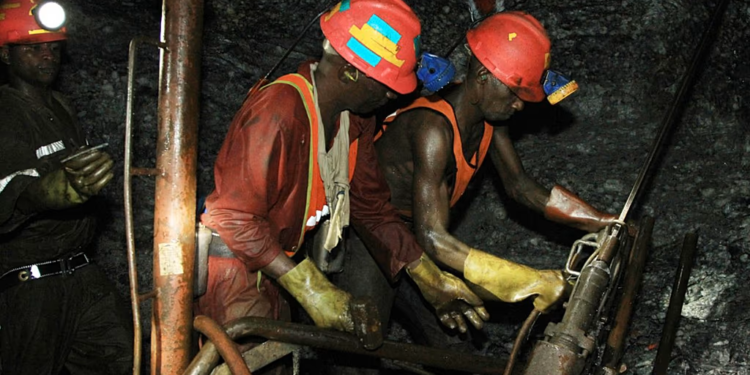 South Africa arrests over 200 in illegal mining crackdown