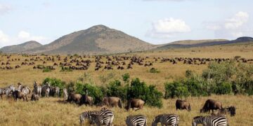 Kenyan activists launch new court case against luxury lodges in Maasai Mara reserve