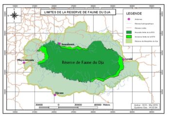 Dja Faunal Reserve, Cameroon