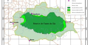Dja Faunal Reserve, Cameroon