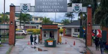 Eleven more Trump deportees arrive in Eswatini from the United States, lawyer says