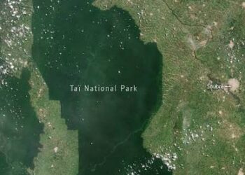 Taï National Park, Côte d’Ivoire