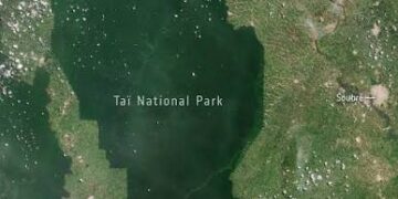 Taï National Park, Côte d’Ivoire