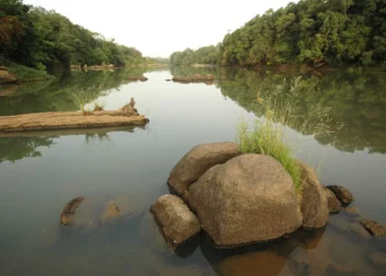 Comoé National Park, Côte d’Ivoire (Ivory Coast)